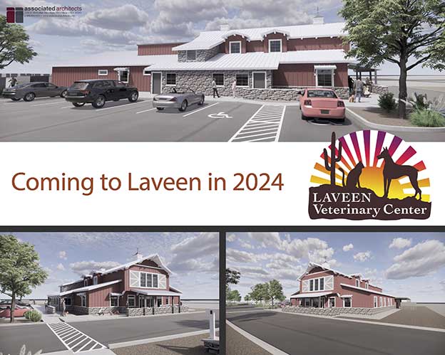 Coming to Laveen in 2024